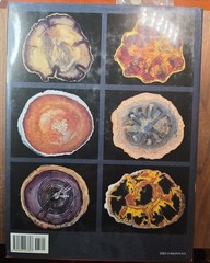 PETRIFIED WOOD The World of Fossilized Wood,Cones,Ferns,and Cycads#B-19