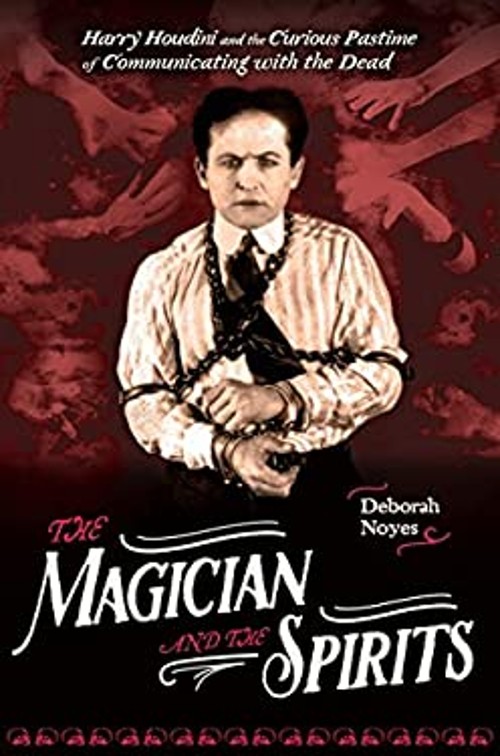 The Magician and the Spirits Hardcover Deborah Noyes