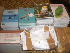 PARROT QUIZ BOOK No 1 by ROSEMARY LOW paperback 92 pages INSIGNIS pub. 1997