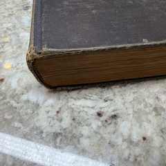 The Ancient World From The Earliest Times to 800 AD by Willis Mason West