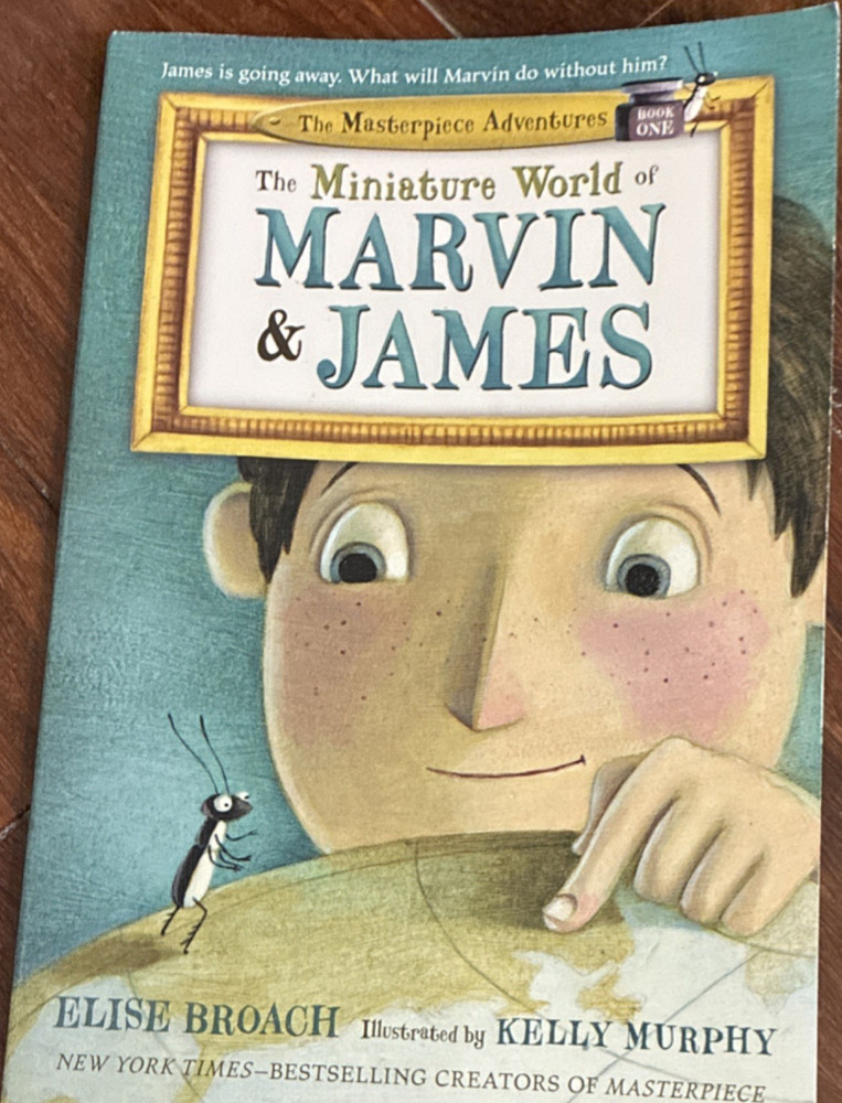 Square Fish Miniature World of Marvin & James Elise Broach PB Ages 4-12