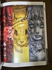 Dragon Girl and Monkey King The Art Of Katsuya Terada Japanese Art Book Comics
