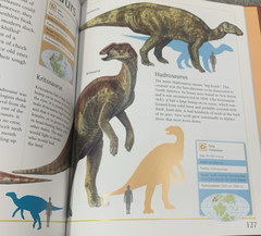 Complete Guide to Dinosaurs by Chris McNab – Hardcover – Velika Enciklopedija