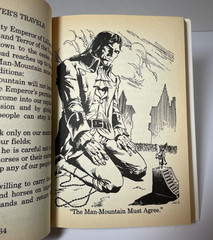 5 Great Illustrated Classics Wizard of Oz Robin Hood Gulliver’s Travels Swiss