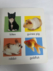 Happy Baby Animals 2002 Hardcover Jo Douglass