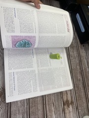 ISE Stern’s Introductory Plant Biology ISE HED BOTANY, ZOOLOGY, ECOLOGY 15e