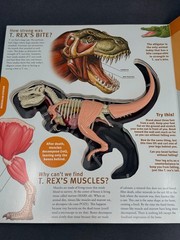 Explore T Rex Dinosaur Inside Out Plastic Model & Book Kids Under 8+ Years GIFT