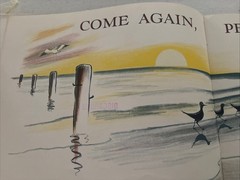 Come Again, Pelican by Don Freeman (1961, Hardcover)