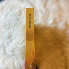 The Joy of Forgiveness by Gene Greeson 2023 Paperback Book