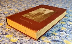Buffalo Roost, F. H. Cheley, 1913, First Edition, Hardcover, Antique