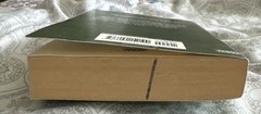 MARK FISHER ~ TEUFELSKREIS (DEVILS CIRCLE) THRILLER PAPERBACK BOOK (German Text)