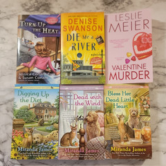 Large Lot of 42 COZY MYSTERY~Mixed Authors~Various Themes~WOMEN SLUETHS~
