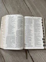 ✝️ CSB – Holy Bible LARGE PRINT Personal Size Reference Bible INDEXED Holman