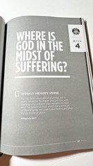 Rooted: Connect With God The Church Your Purpose Hardcover