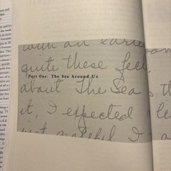 ALWAYS, RACHEL: THE LETTERS OF RACHEL CARSON AND DOROTHY Freeman
