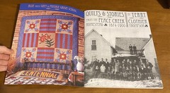Quilts & Stories from the Peace Creek Homestead, 1874-1900 by Terry Thompson