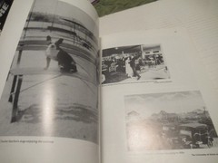 Summit Beach Park: Akron’s Coney Island by Diane & David Francis, Amusement Park