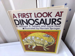 By Millicent E. Selsam A First Look at Dinosaurs Science Vtg Hardcover Book 1982