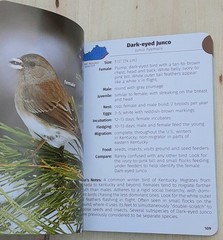 Birds of Kentucky Field Guide by Stan Tekiela 2022 Illustrated Paperback Book