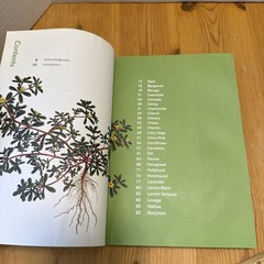 Herbal Handbook by New York Botanical Garden (Illustrated)