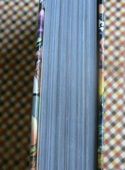 Action Bible,God’s Redemptive Story,Graphic Narrative,Sergio Cariello 1st Ed HC
