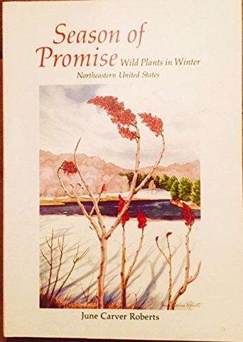 Season of Promise: Wild Plants In Winter, Northeastern United States