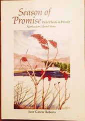 Season of Promise: Wild Plants In Winter, Northeastern United States