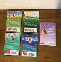 Lot of 13 Teen, Pre-Teen & Children’s Chapter Books Mixed Authors & Genres