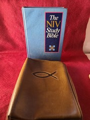 NIV Study Bible 1985 Blue Hardcover 1984