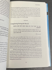 Rahav-Meir 2017 #PARASHA Menorah Books Used Hardcover W DJ