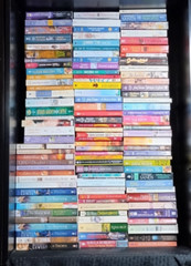 ROMANCE BUILD YOUR OWN LOT PAPERBACK BOOKS