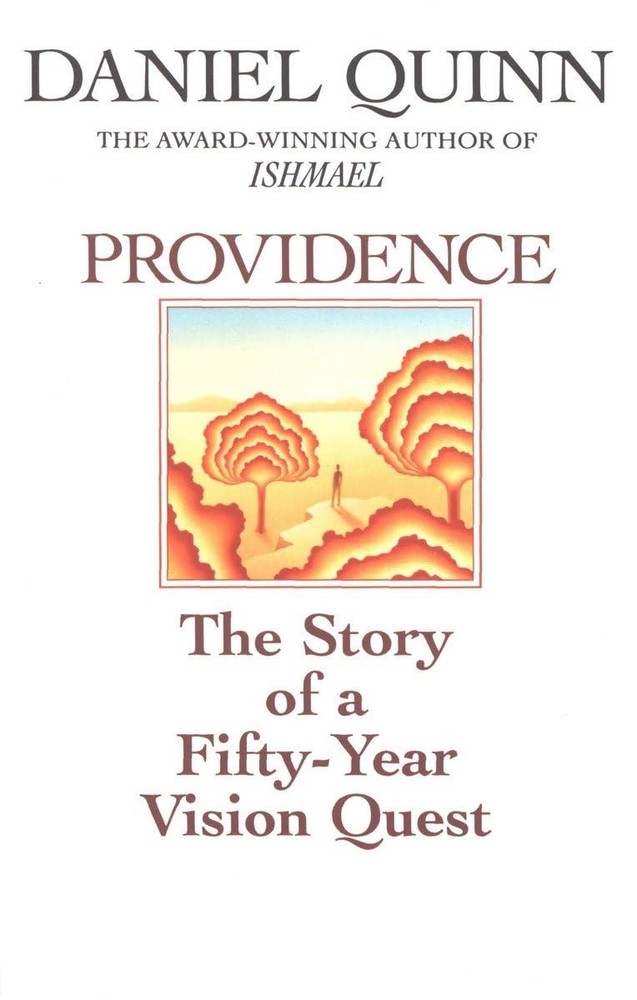 Providence: The Story of a Fifty-Year Vision Quest – paperback Quinn, Daniel