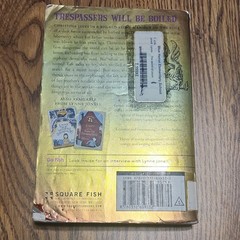 Square Fish Lynne Jonell Hardcover Juvenile Fiction Adventure The Secret of Zoom