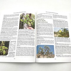 The Lost Book of Herbal Remedies Nicole Apelian, Ph.D and Claude Davis 2020 VG