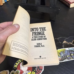 Into The Fringe Karla Turner 1992 First Printing Alien Abduction UFO Berkley PB