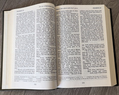 The Living Bible Large Print Edition Red Letter Holy Spiritual Book
