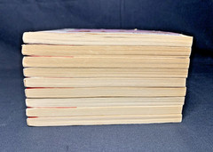 The Gymnasts Book Lot Apple Fiction Scholastic #4 9 10 12 13 14 17 19 21 Vintage