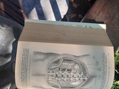Gray’s Anatomy: The Classic Collector’s Edition~Henry Gray~VINTAGE 1977 HC/DJ