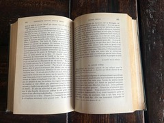 Nineteenth Century French Prose By Joseph S. Galland & Ropger Cros 1931
