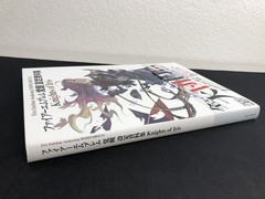 Fire Emblem Awakening Model Sheets Knights Of Iris Concept Art Book JDM MINT