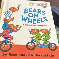 Berenstain Bears hardcover Book Lot of 8 Stan & Jan Berenstain Illustrated