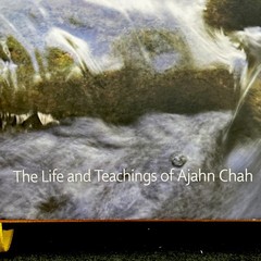 Stillness Flowing: The Life & Teachings of Ajahn Chah Buddhism HC DJ 1st Ed 2017