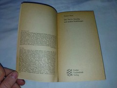 Der Tod in Venedig und andere Erzählungen Thomas Mann – Fischer Taschenbuch