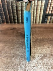A Dog for Davie’s Hill by Clare Bice 1957 Hardcover/DJ BCE The Macmillan Company