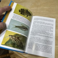Dr Axelrods Mini Atlas of Freshwater Aquarium Fishes by Dr. Axelrod, Herbert R
