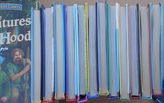 Treasury Of Illustrated Classics Hardcover Books Lot Of 24. Beauty Oz Holmes Pan