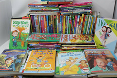 Bulk/Huge Lot of 100 of Children’s Kids Chapter Books – Random – Free Shipping!