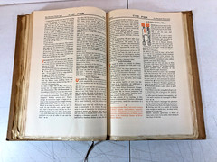 Vol 13: The FRA: Exponent of The American Philosophy, April-Sept 1914, E-119