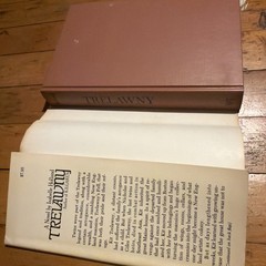 Trelawny Isabelle Holland 1974 Hardcover Dust Jacket Gothic Fiction Novel
