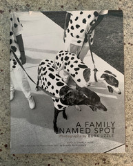 A Family Named Spot by Allan Gurganus: Hard Cover Photo Book 2006